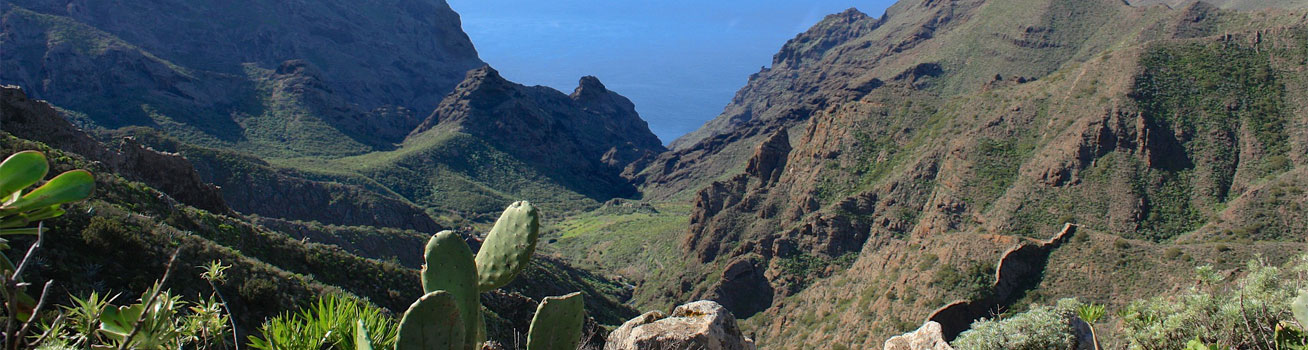 Tenerife